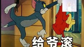猫和老鼠海盗吃瓜,一场吃瓜盛宴的奇幻之旅